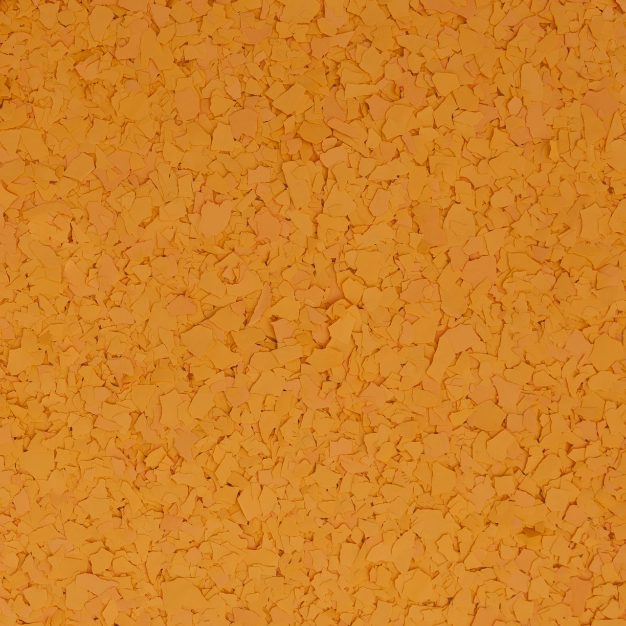 Torginol® | Squash